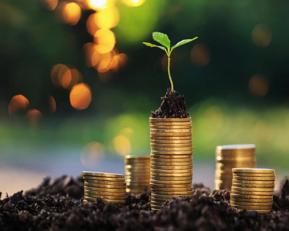 Corporate Donation Guide: Making Every Contribution Count