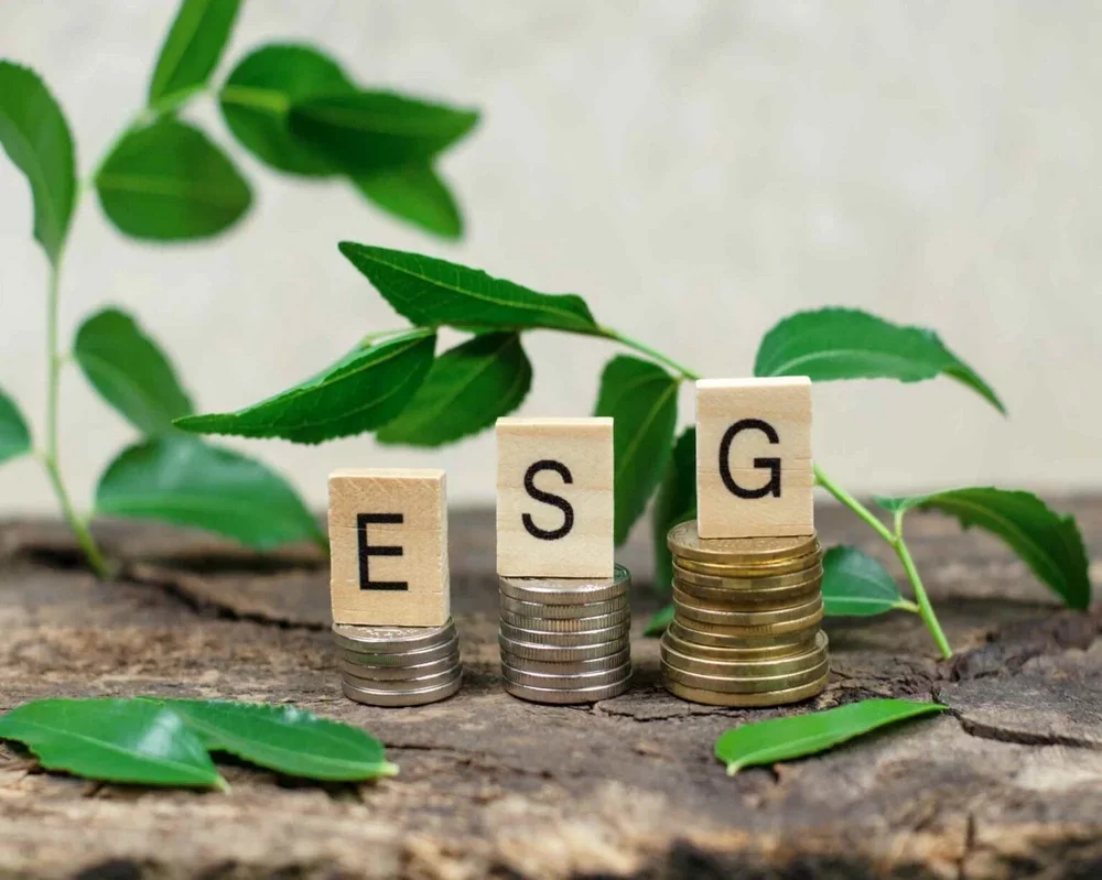 What are ESG services? Charting the Green Landscape