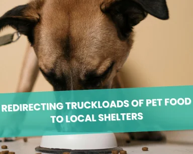 Redirecting Truckloads of Pet Food to Local Shelters