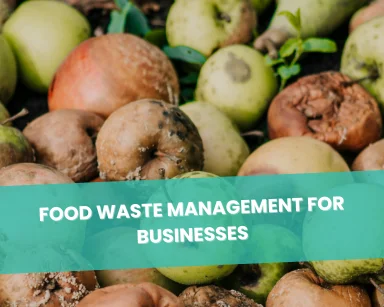 Food Waste Management for Businesses: Why It Matters