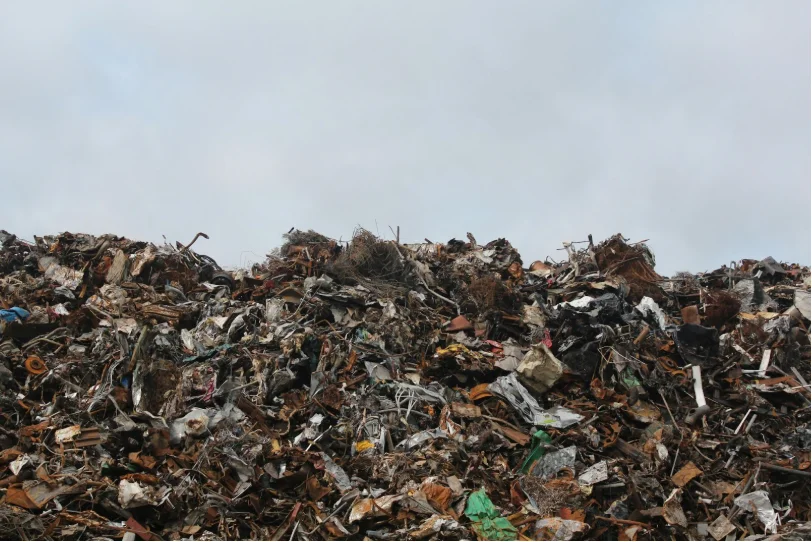 Importance of Efficient Food Waste Management