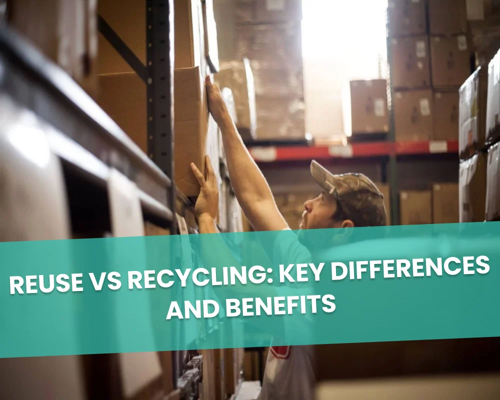 Reuse vs Recycling: Key Differences and Benefits