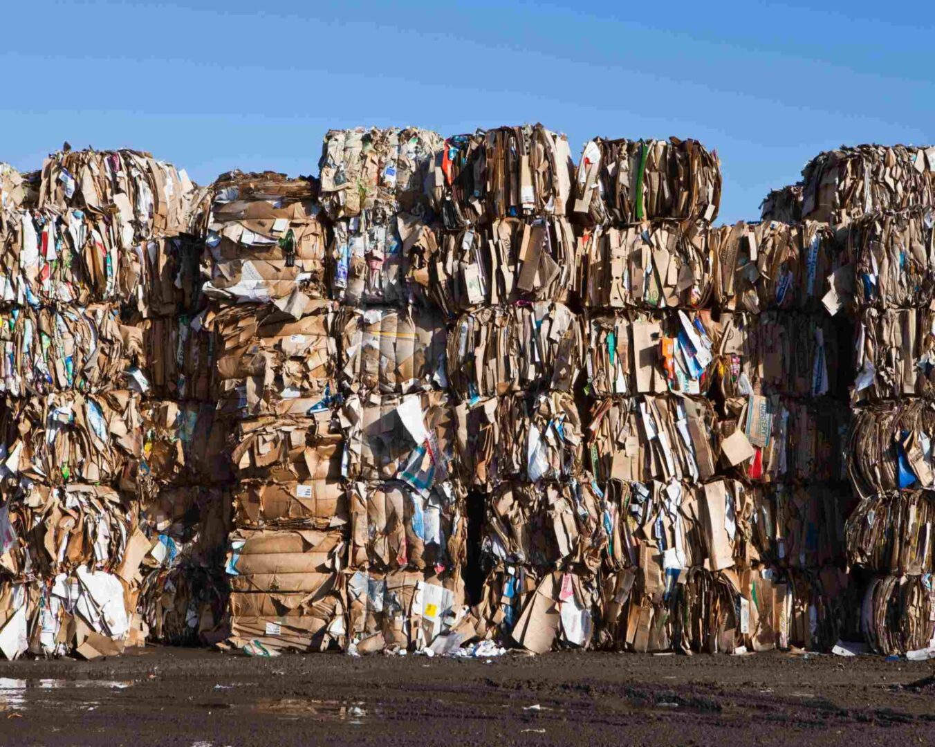 Commercial Recycling Services in San Diego