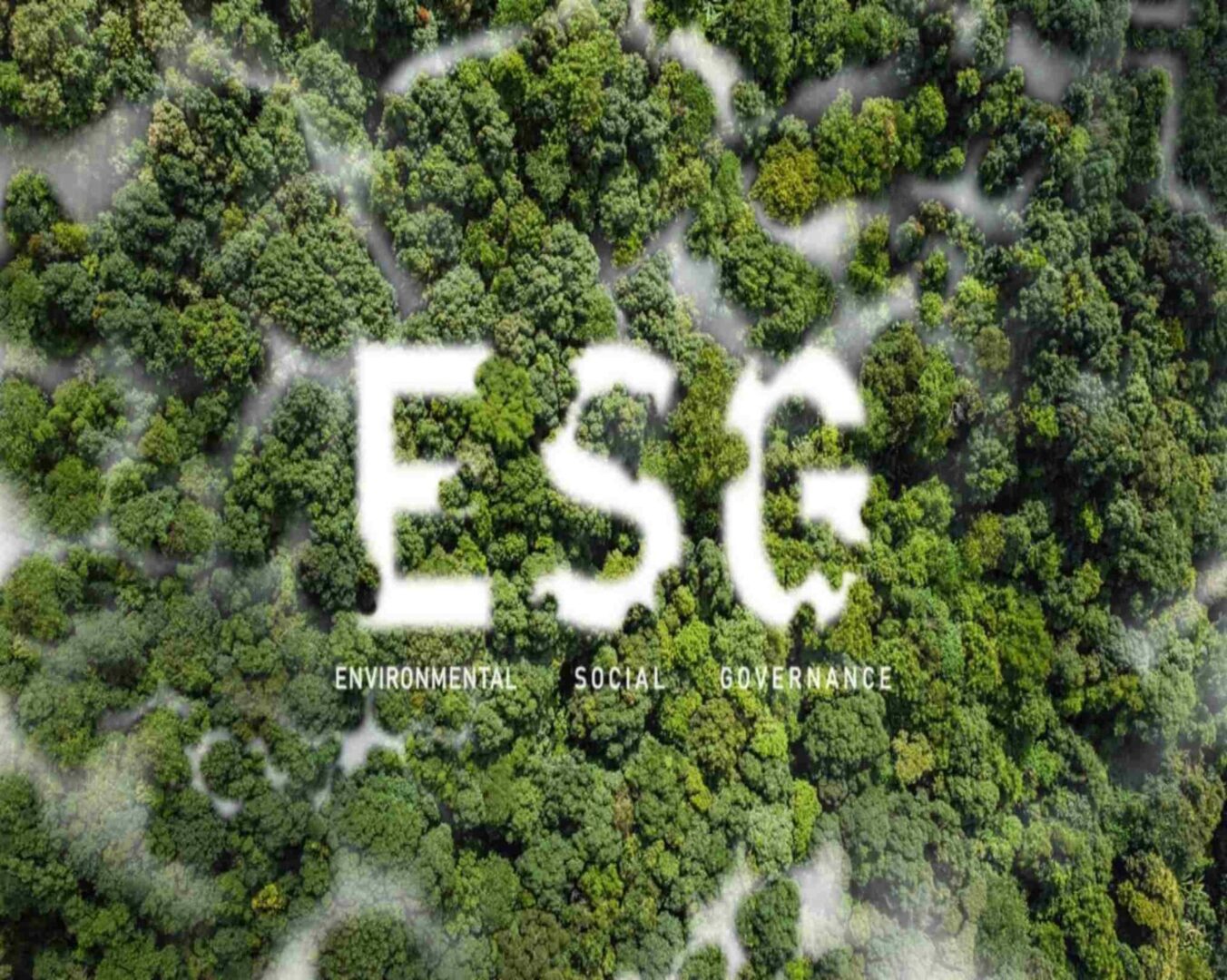 ESG solutions