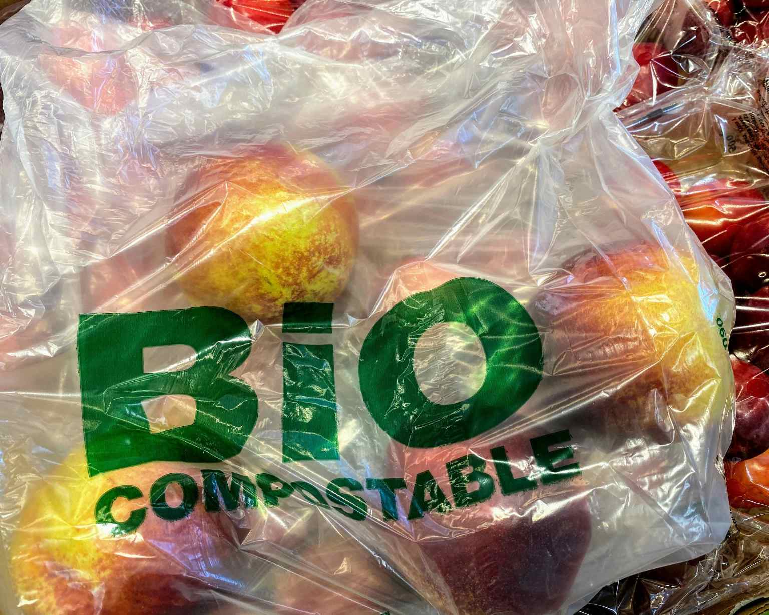 How to Reduce Food Waste and Create a Sustainable Future