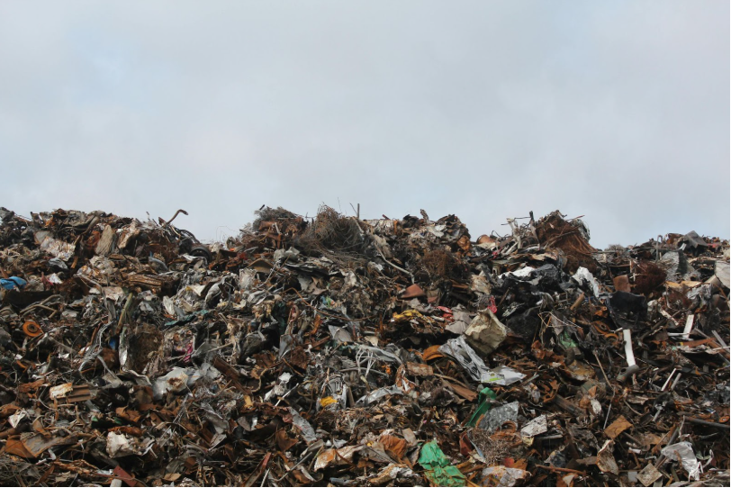 Importance of Efficient Food Waste Management